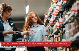 Du Học Sinh Canada Được Làm Thêm Bao Nhiêu Giờ